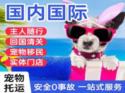 临沂空运国际宠物托运 【国